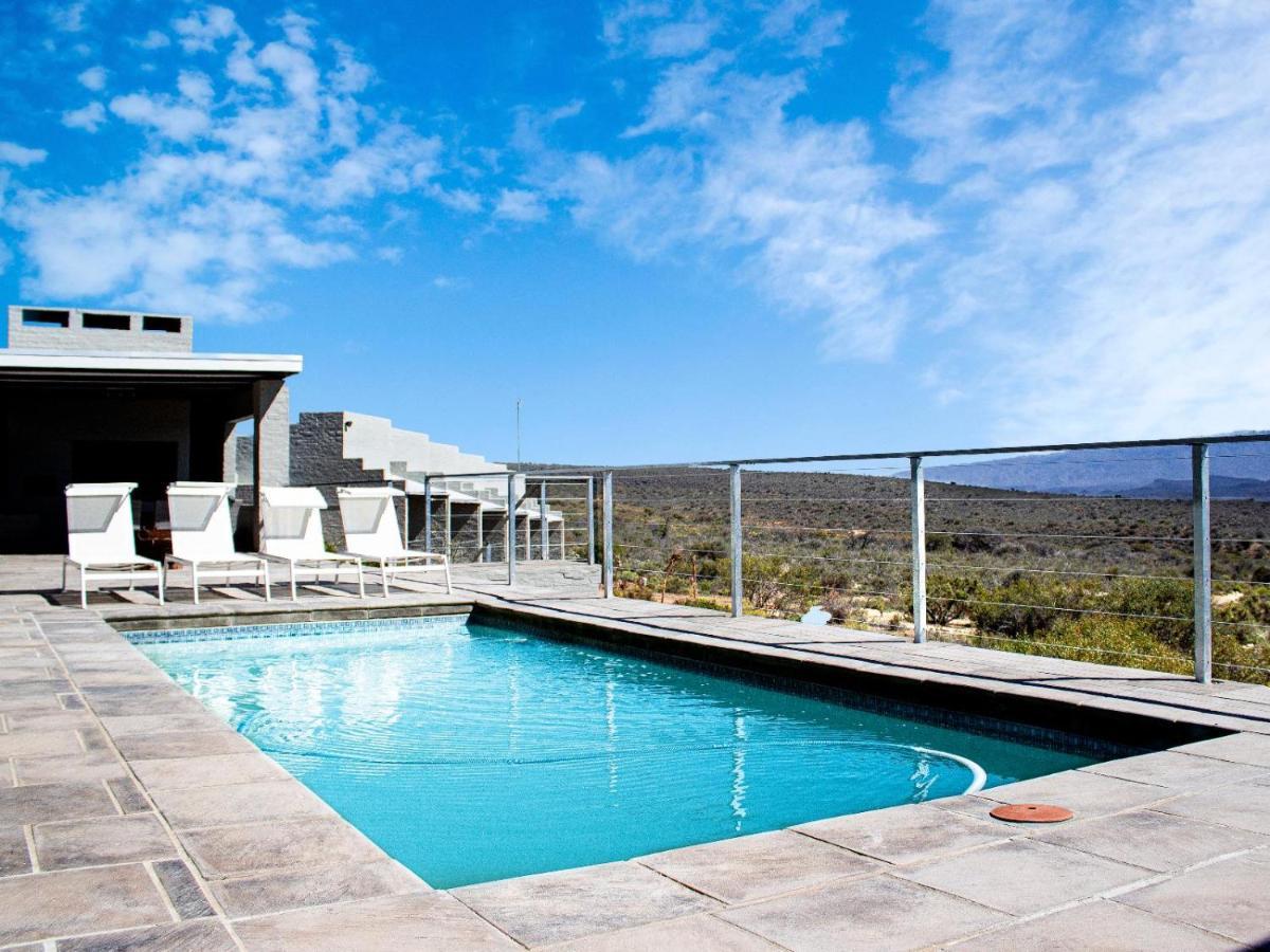 Rooiberg Wild Private Game Reserve Ladismith Eksteriør bilde
