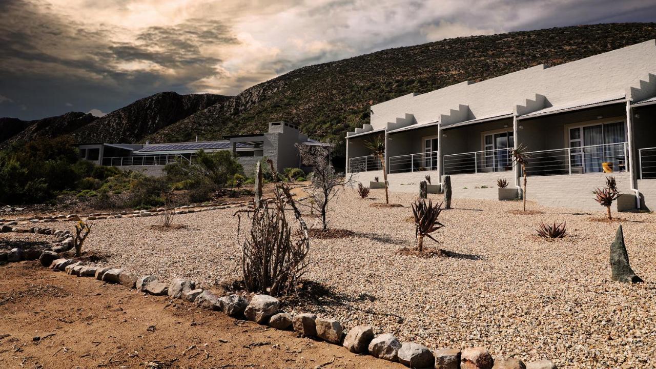 Rooiberg Wild Private Game Reserve Ladismith Eksteriør bilde