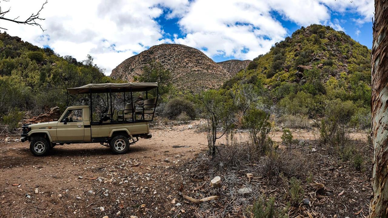 Rooiberg Wild Private Game Reserve Ladismith Eksteriør bilde