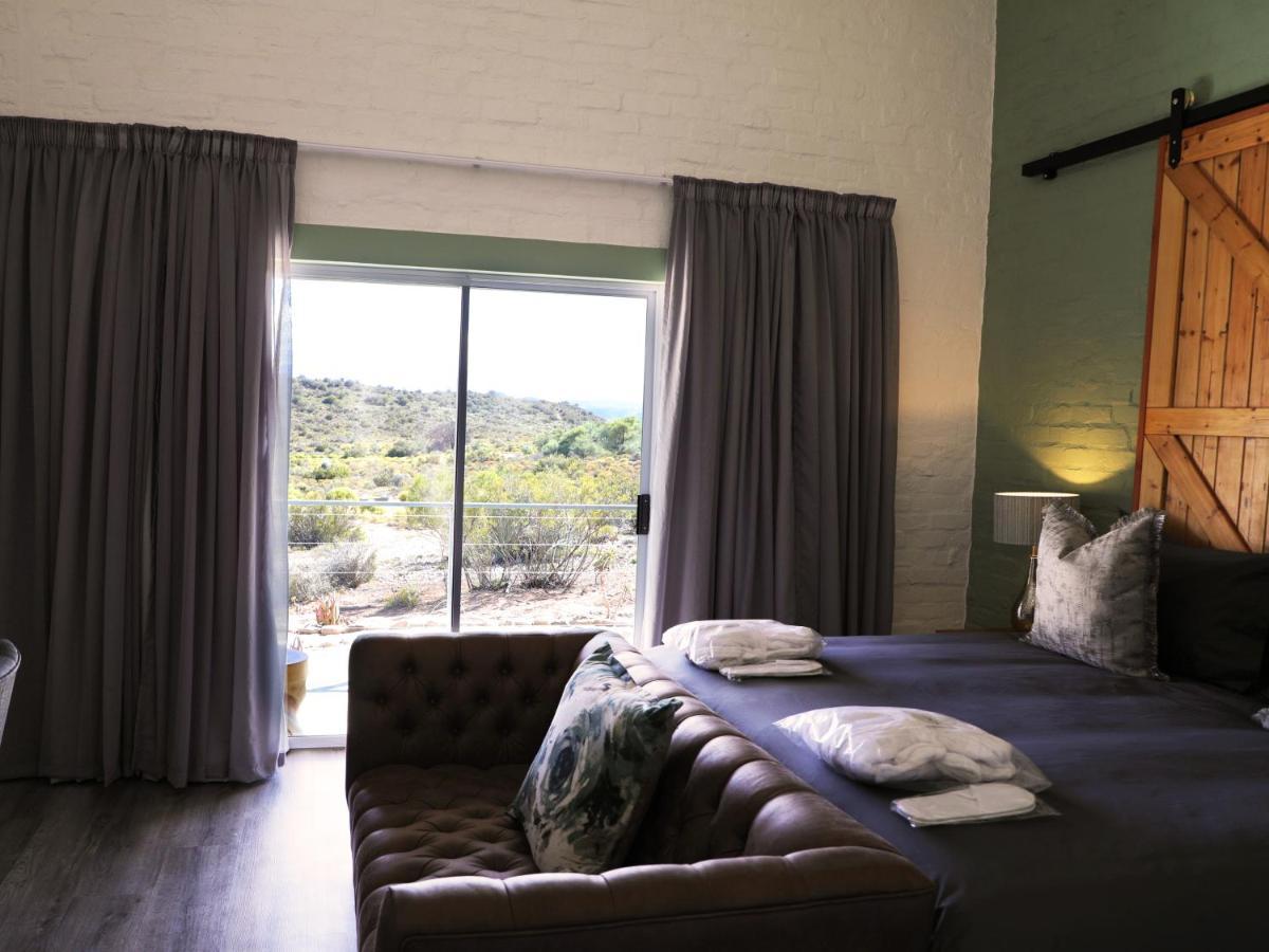 Rooiberg Wild Private Game Reserve Ladismith Eksteriør bilde